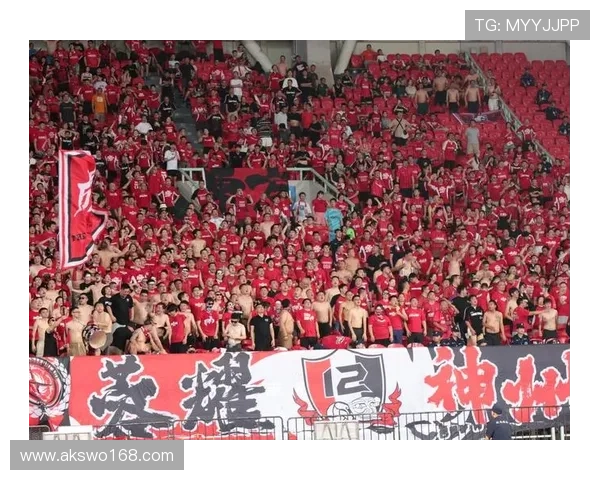 球迷总动员：热血足球场上的友情与梦想碰撞的故事